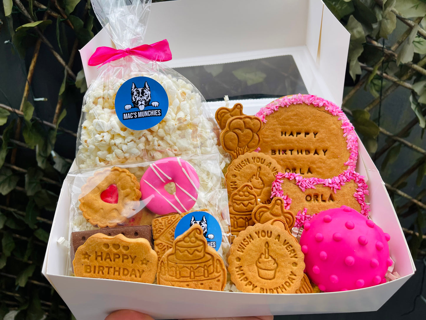 Birthday Biscuit Box