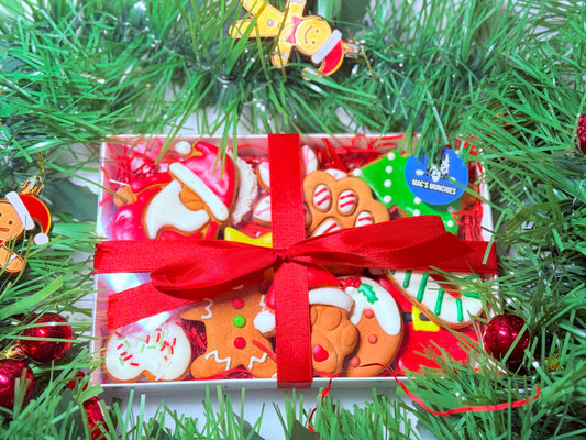 Christmas Gift Box