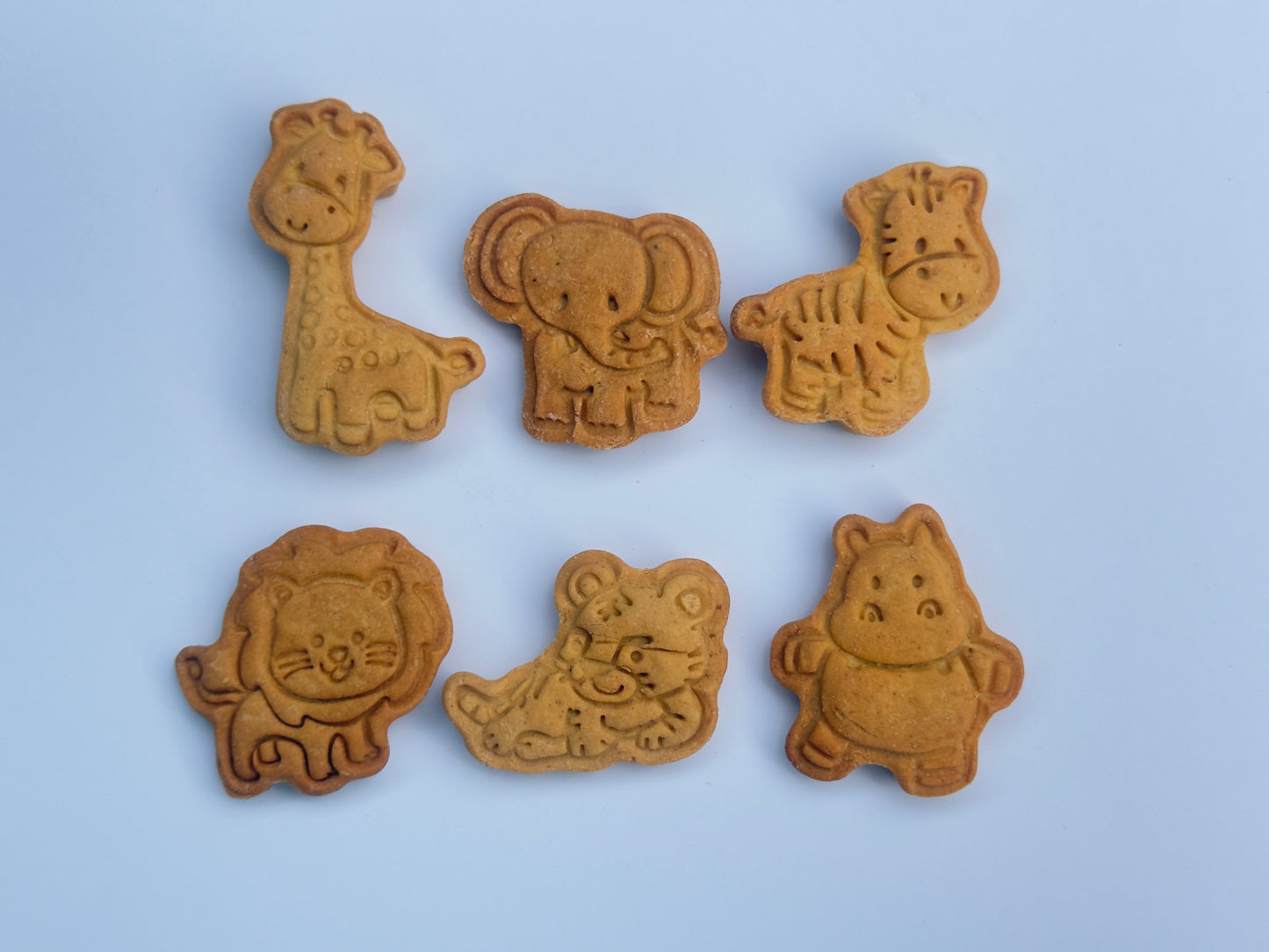 Themed Stamped Biscuit Bags