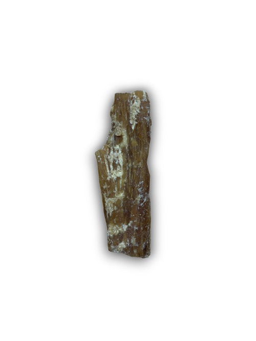 Beef Paddywack 100g.